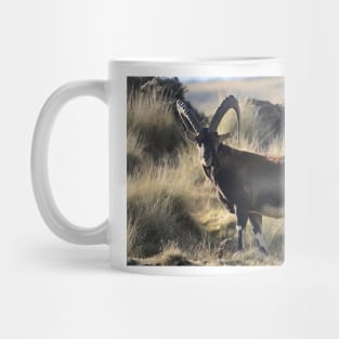 Mountain goat-goat on mountain Mug